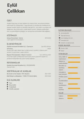  cv indir